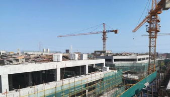 中国电工电器城八月工程进度播报 稳步推进，共建产业新高地